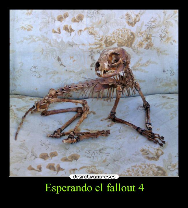 Esperando el fallout 4 -