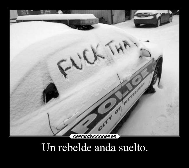 Un rebelde anda suelto. -