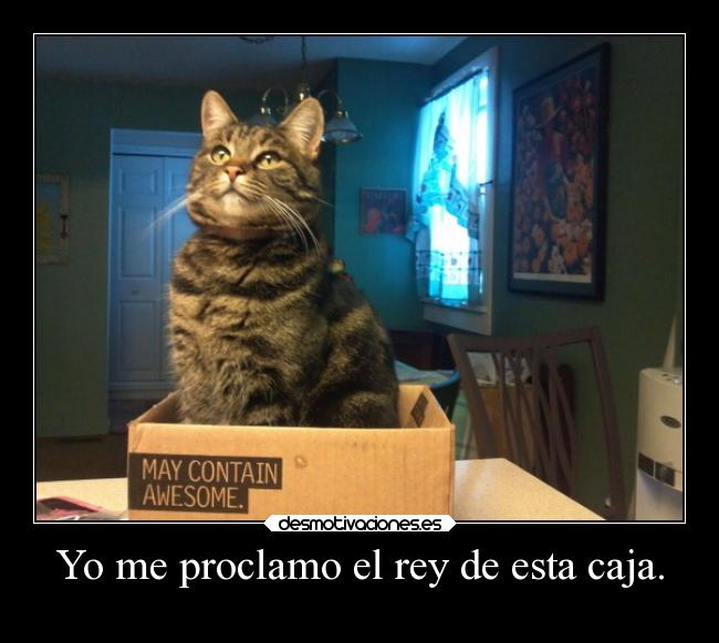 Yo me proclamo el rey de esta caja. - 