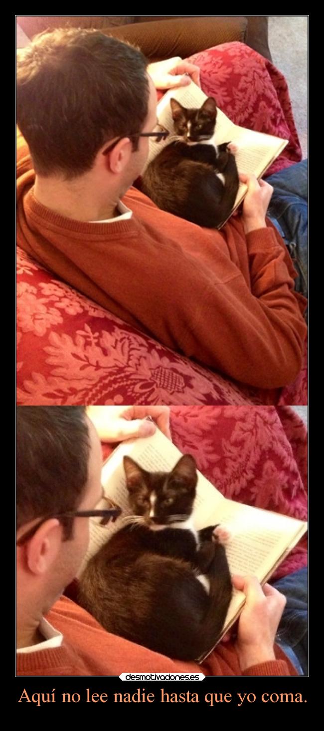 Aquí no lee nadie hasta que yo coma. -