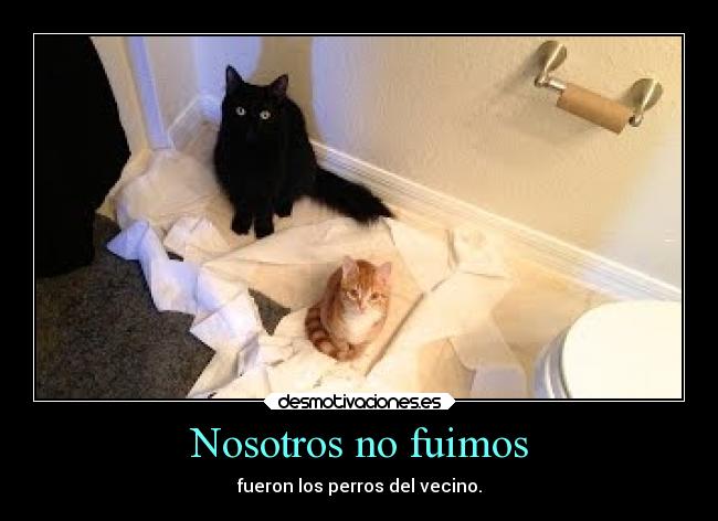 carteles humor graciosas desmotivaciones