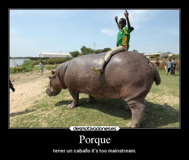Porque -