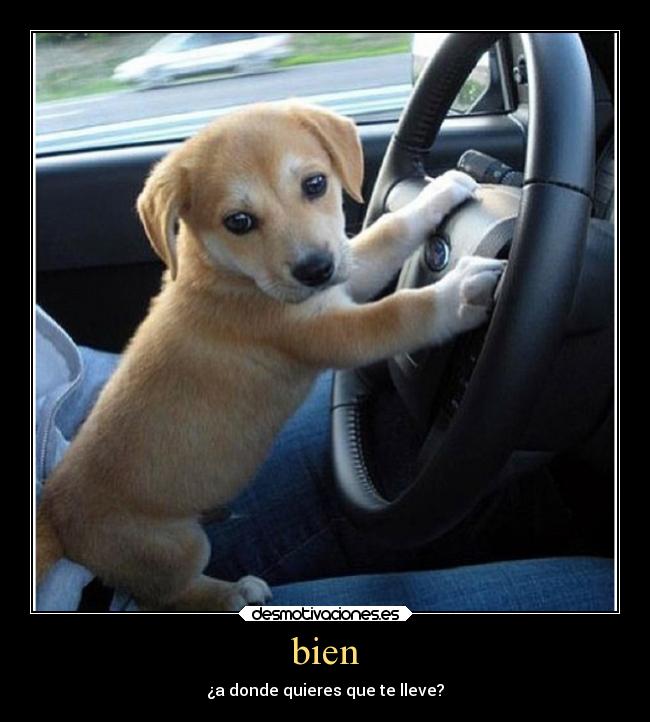 bien - ¿a donde quieres que te lleve?