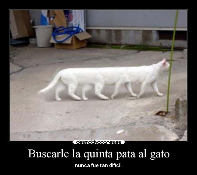 carteles humor peeeeeeeepiiiiiiiiiiiiiiiiitooooooooo desmotivaciones