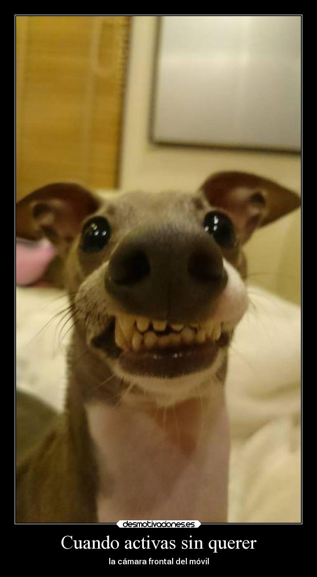 Cuando activas sin querer - la cámara frontal del móvil