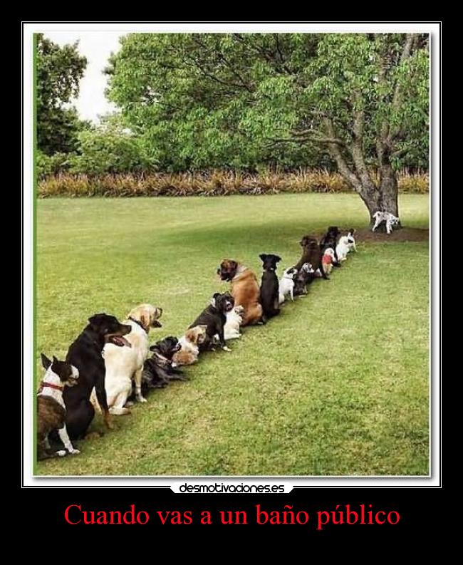 Cuando vas a un baño público - 