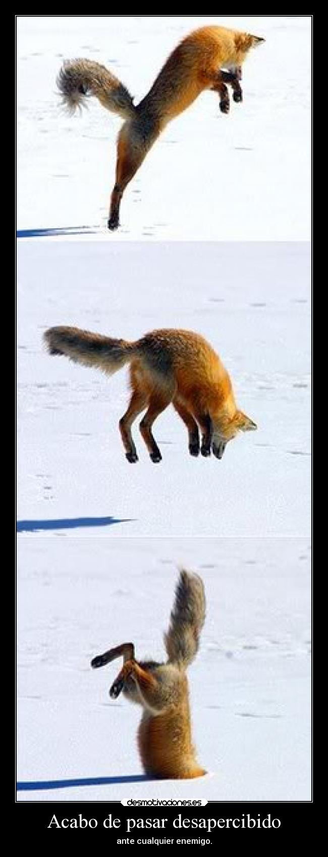 Acabo de pasar desapercibido - ante cualquier enemigo.