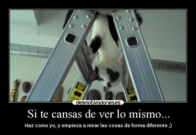 Si te cansas de ver lo mismo... -