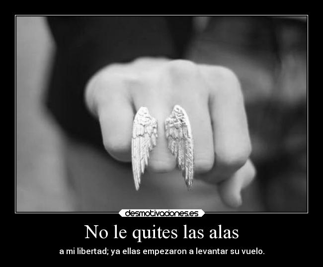 No le quites las alas - 