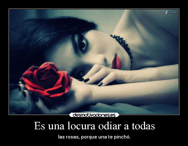 Es una locura odiar a todas - las rosas, porque una te pinchó.