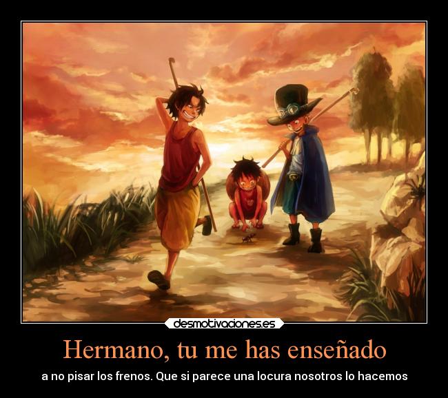 Hermano, tu me has enseñado -