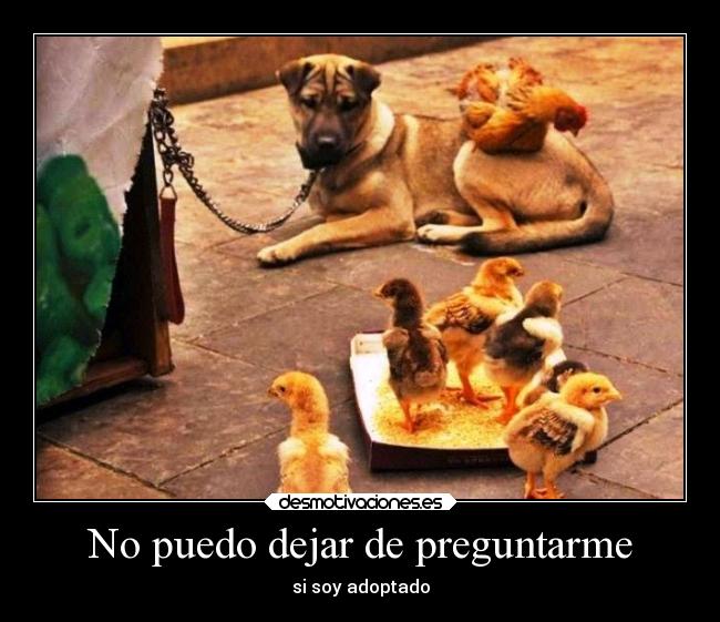 No puedo dejar de preguntarme - si soy adoptado