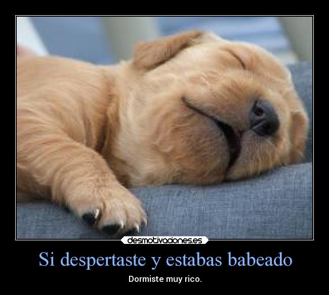 carteles memes humor vida casa escuela dormir desmotivaciomes desmotivaciones