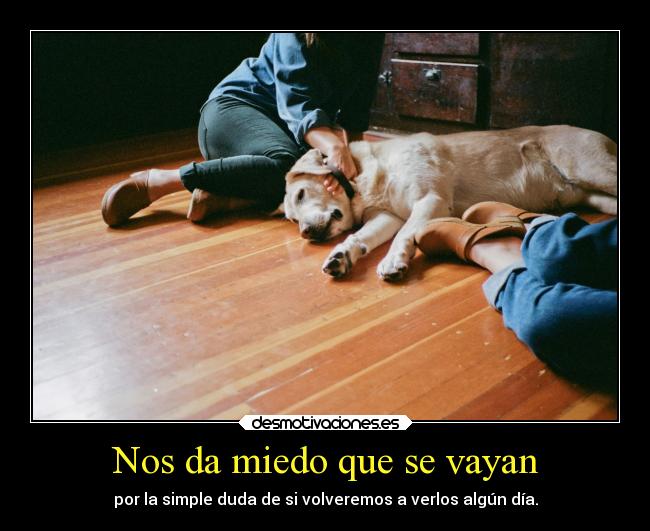 Nos da miedo que se vayan - por la simple duda de si volveremos a verlos algún día.