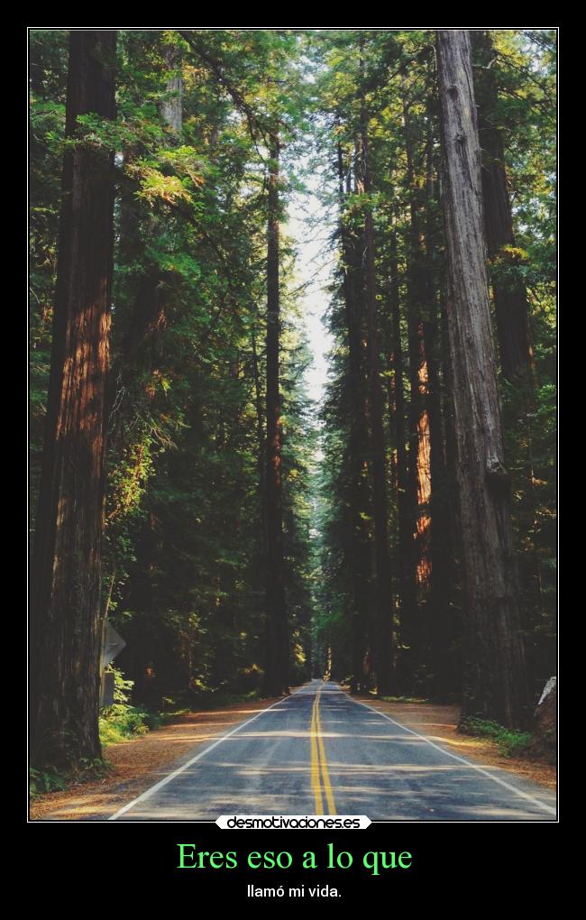 Eres eso a lo que - llamó mi vida.