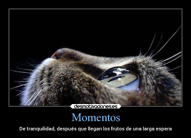 Momentos - De tranquilidad, después que llegan los frutos de una larga espera