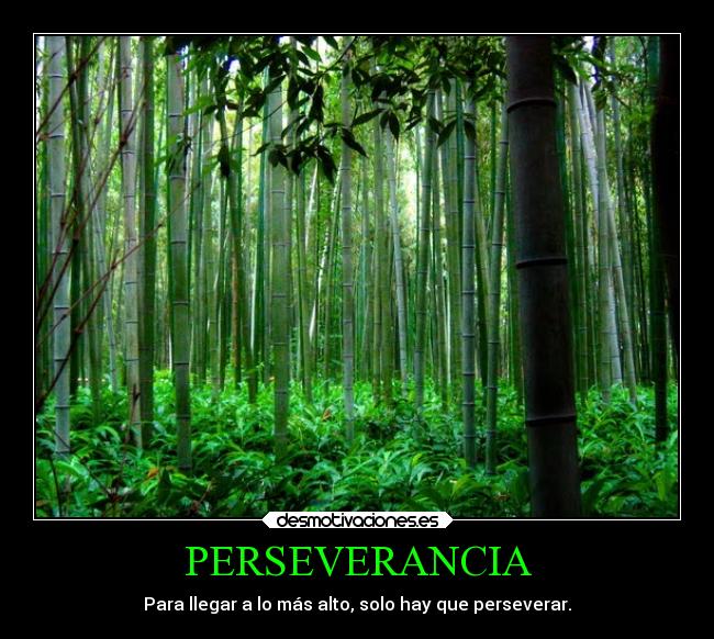 PERSEVERANCIA - 