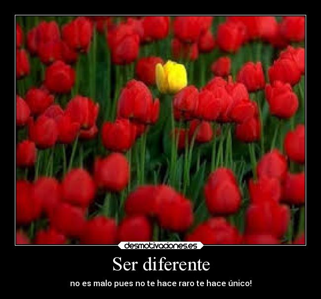 Ser diferente - no es malo pues no te hace raro te hace único!