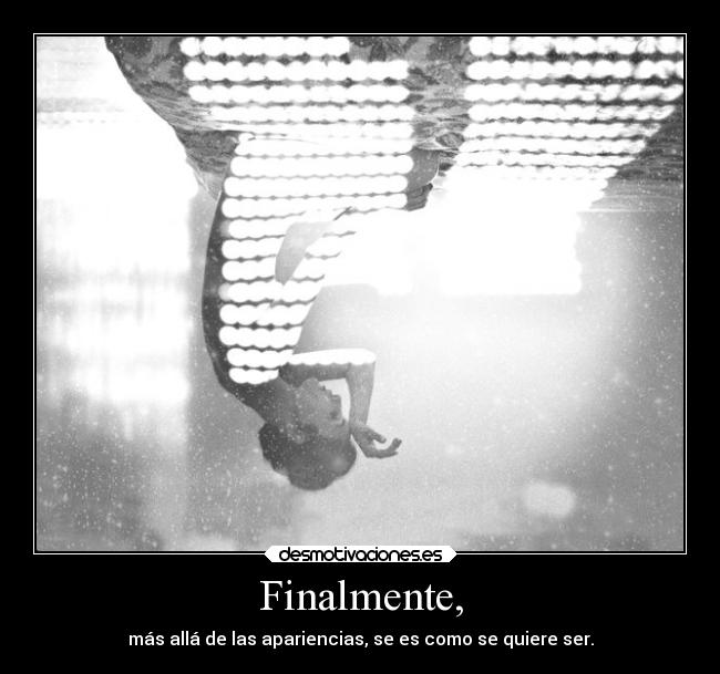 carteles muerte amm 44gatti desmotivaciones