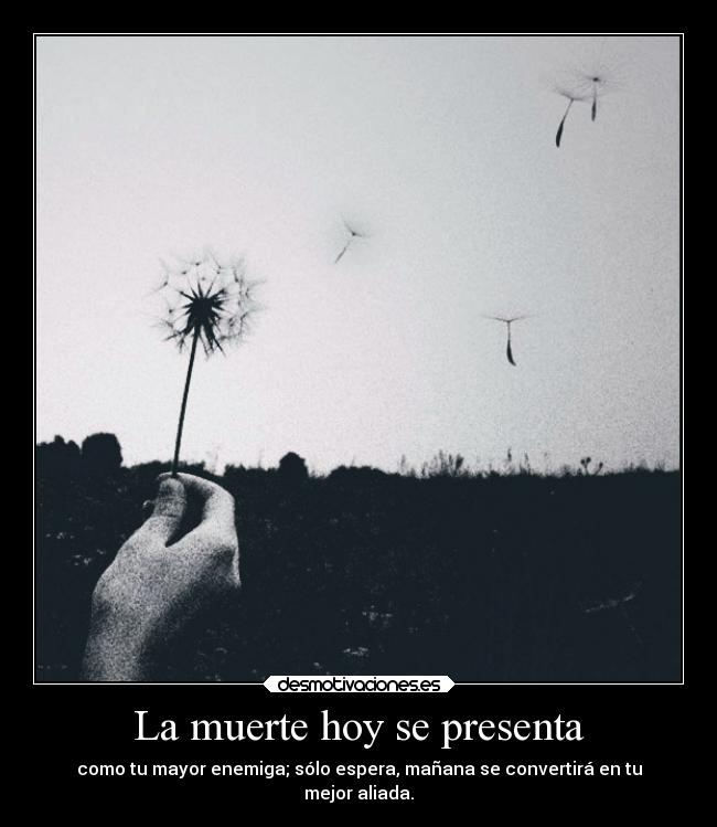 carteles muerte muerte amm narva desmotivaciones