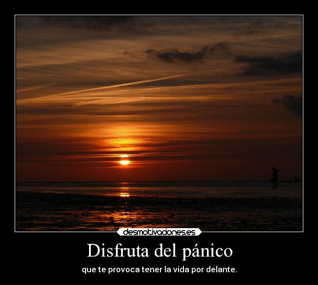 Disfruta Del Pánico Desmotivaciones