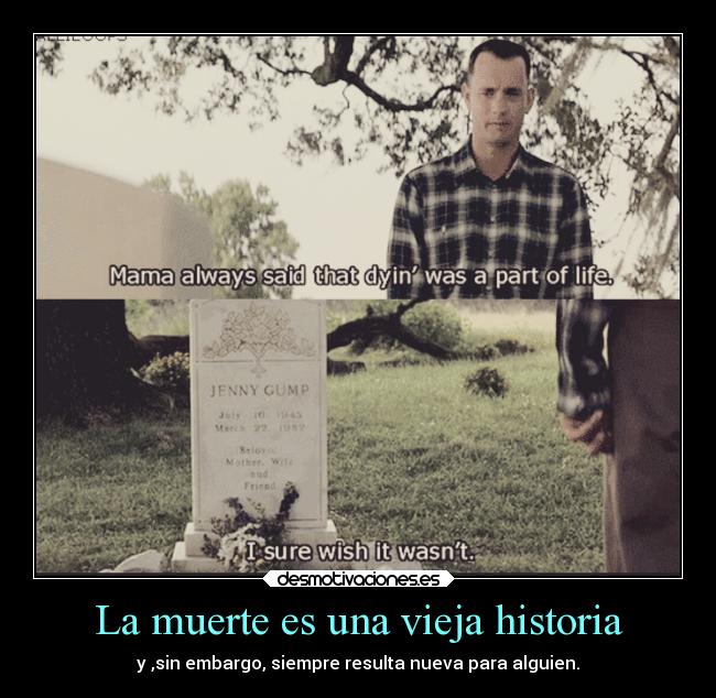 carteles muerte historia madre amor forrest gump jenny mama desmotivaciones