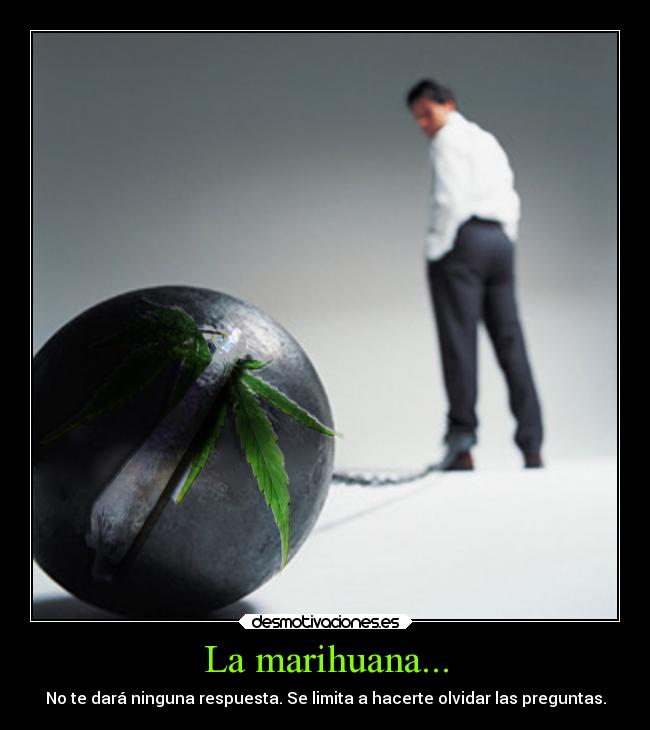 La marihuana... -