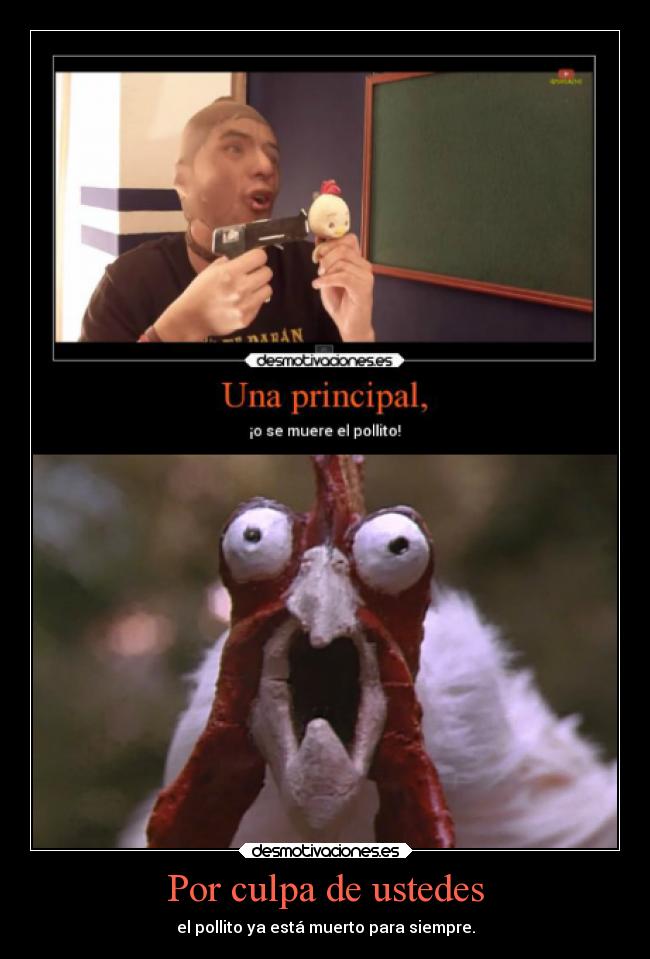 carteles muerte pollo brunoacme principal desmotivaciones