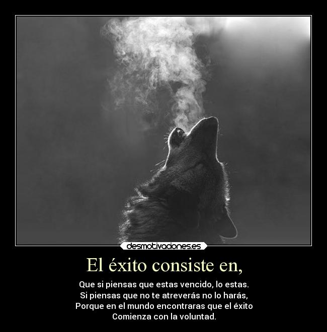 carteles mundo caracter exito vongolaring lobos guiltycrown23 voluntad shingekinokyojin23 desmotivaciones