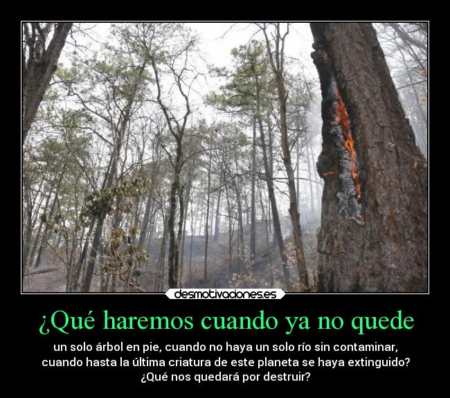 carteles mundo problemas destrucion humanos que haremos quedar criatura rio desmotivaciones