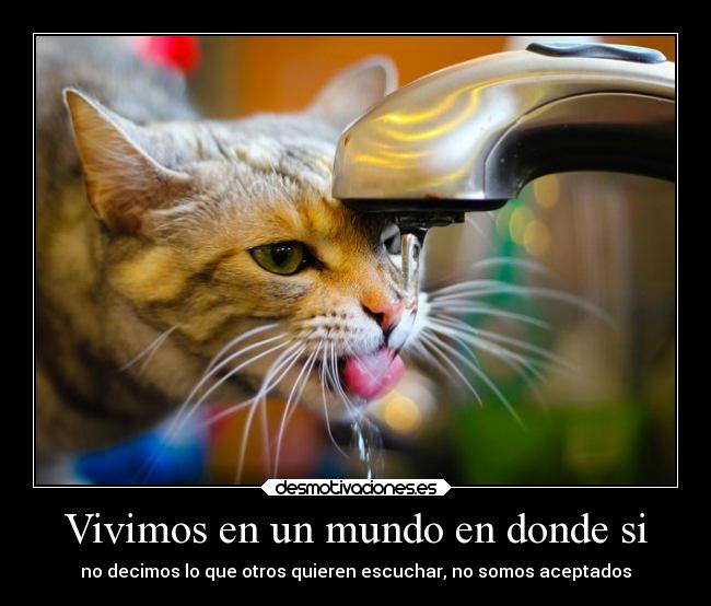 Vivimos en un mundo en donde si - no decimos lo que otros quieren escuchar, no somos aceptados