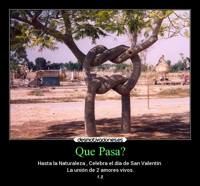 Que Pasa? - Hasta la Naturaleza , Celebra el día de San Valentín
La unión de 2 amores vivos.
r.z