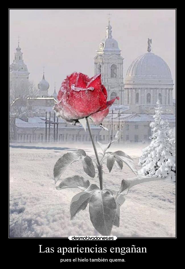 carteles naturaleza imposible dolor alma amistad aire tierra fuego hielo apariencias shats delolvido desmotivaciones