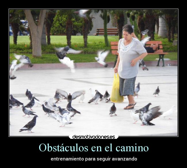 Obstáculos en el camino -