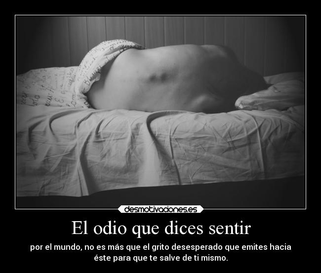 carteles odio muerte amm narva desmotivaciones