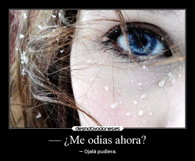 carteles odio vida querer nopoder desmotivaciones