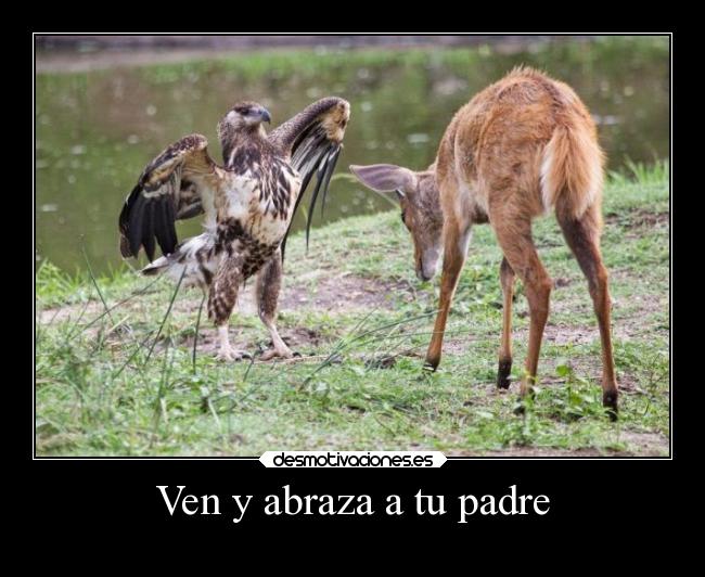 Ven y abraza a tu padre - 