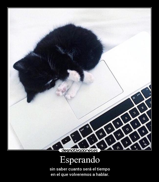 carteles pasado esperanza lumamalu desmotivaciones