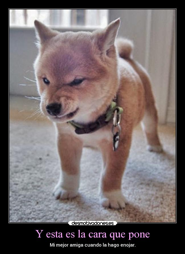 Y esta es la cara que pone - Mi mejor amiga cuando la hago enojar.