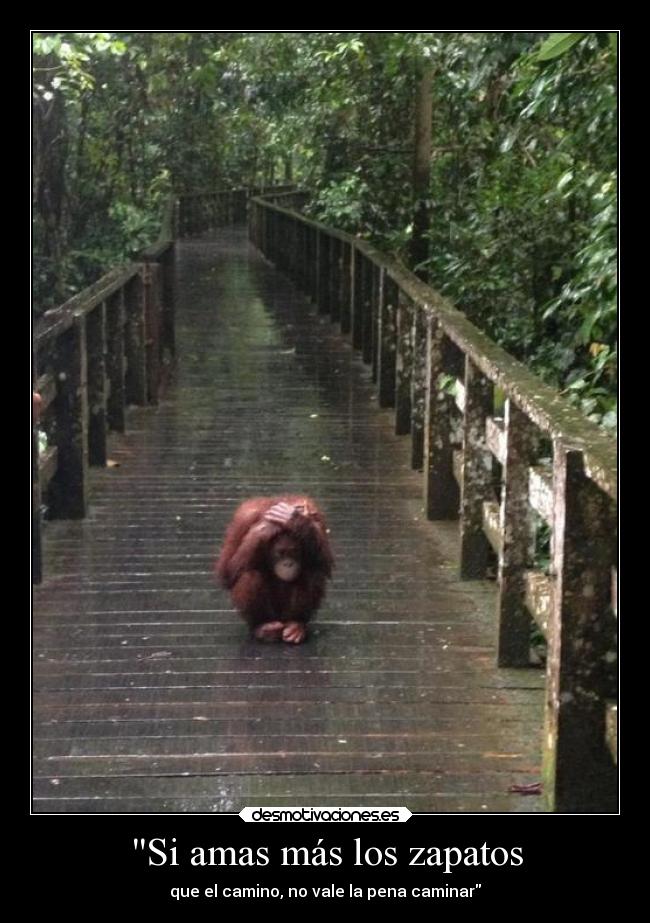 Si amas más los zapatos -