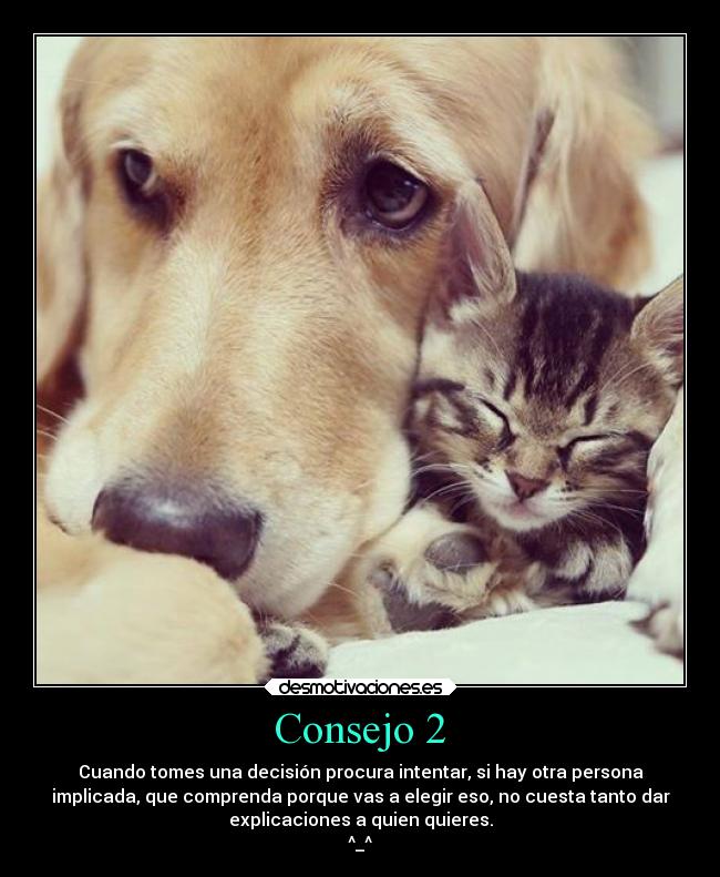 Consejo 2 - Cuando tomes una decisión procura intentar, si hay otra persona
implicada, que comprenda porque vas a elegir eso, no cuesta tanto dar
explicaciones a quien quieres.
^_^