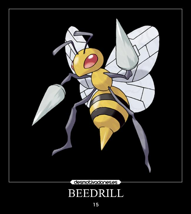 BEEDRILL - 15