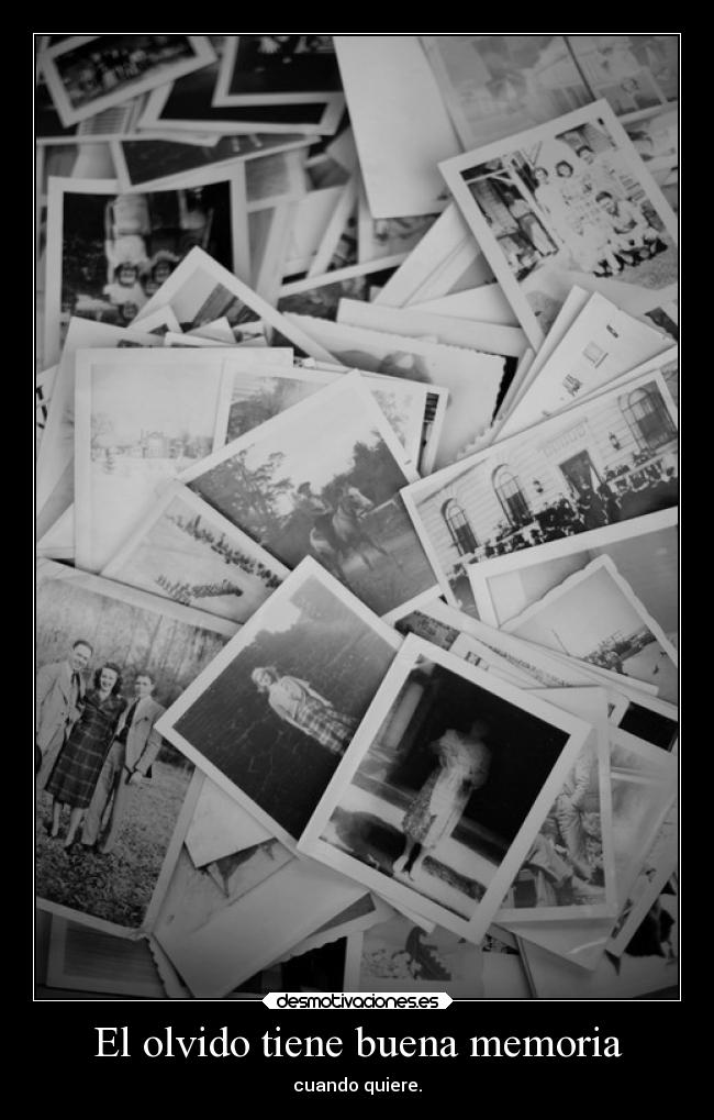 El olvido tiene buena memoria - 