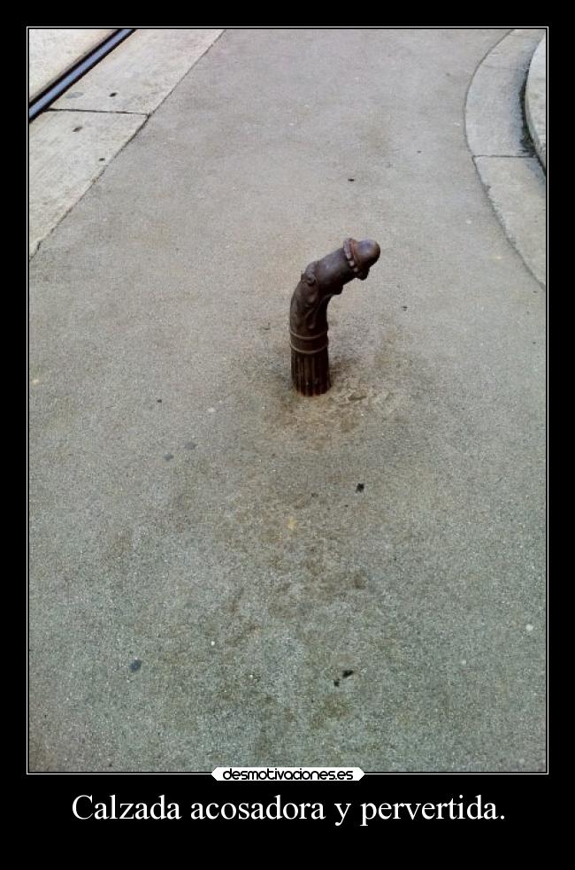 Calzada acosadora y pervertida. - 