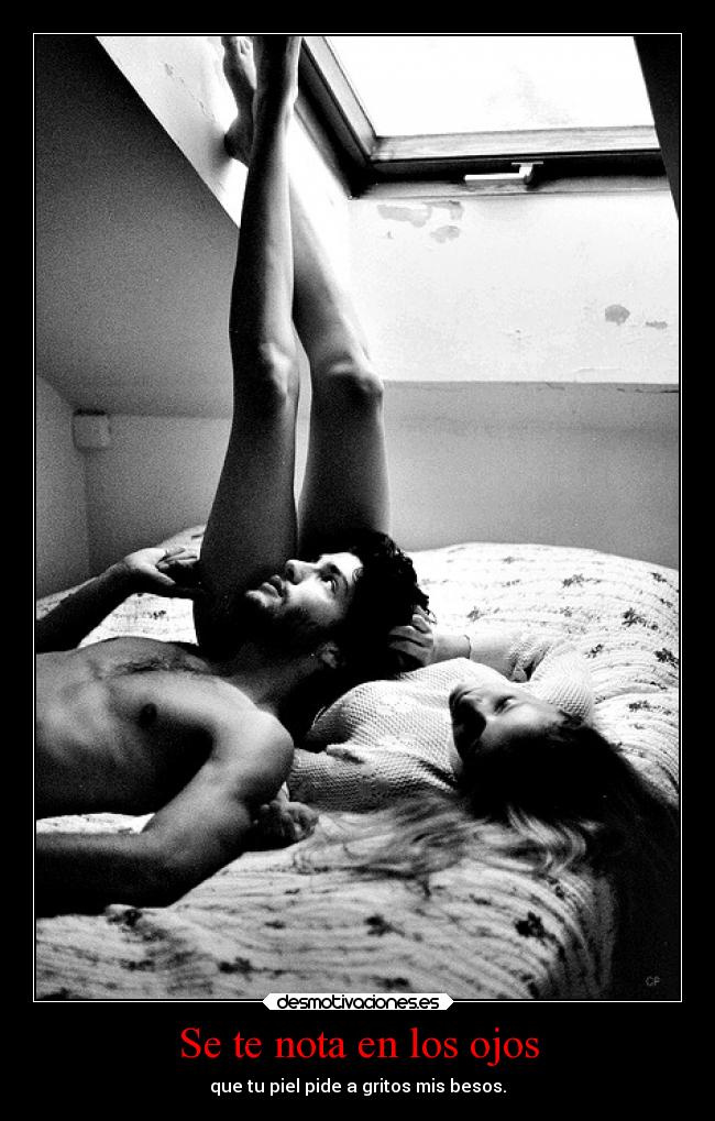 carteles sexo besos amor pasion bittersweetrain desmotivaciones