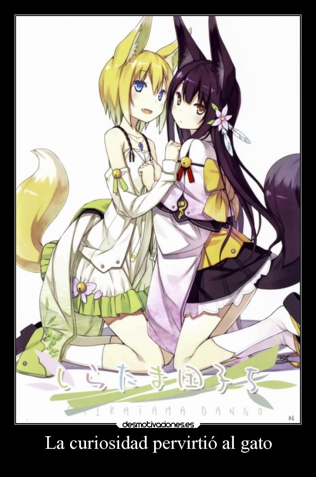 La curiosidad pervirtió al gato - 
