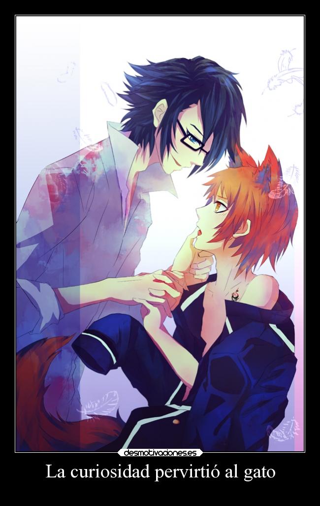 La curiosidad pervirtió al gato - 