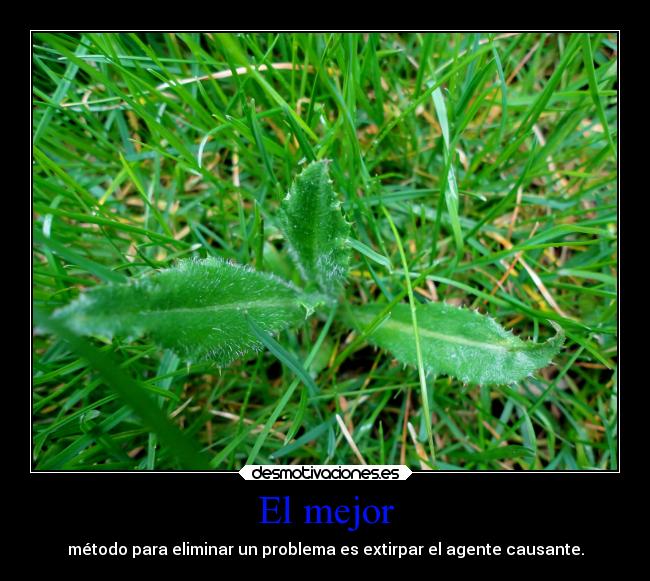 El mejor - método para eliminar un problema es extirpar el agente causante.