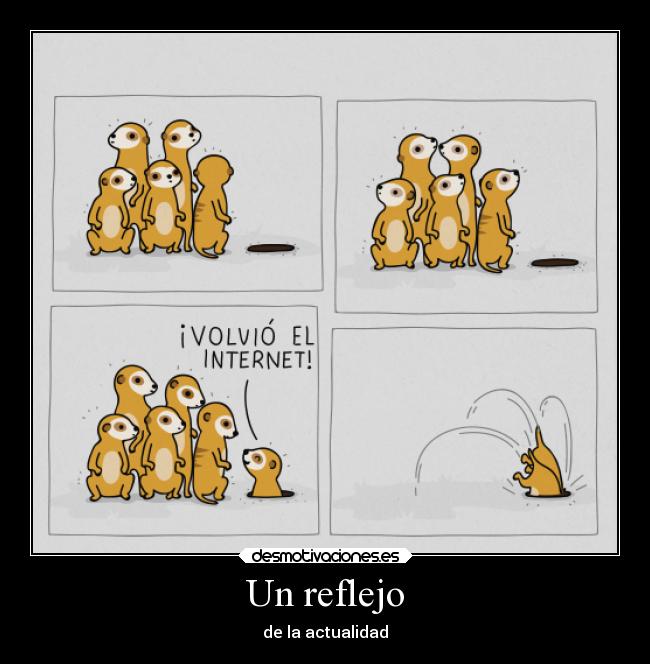 carteles sociedad internet debilidad criticas desmotivaciones