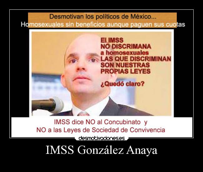 IMSS González Anaya - 